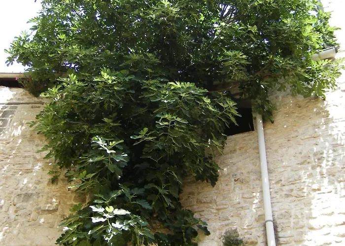 Pensión Palazzo Rizzi Dimora Dei Templari